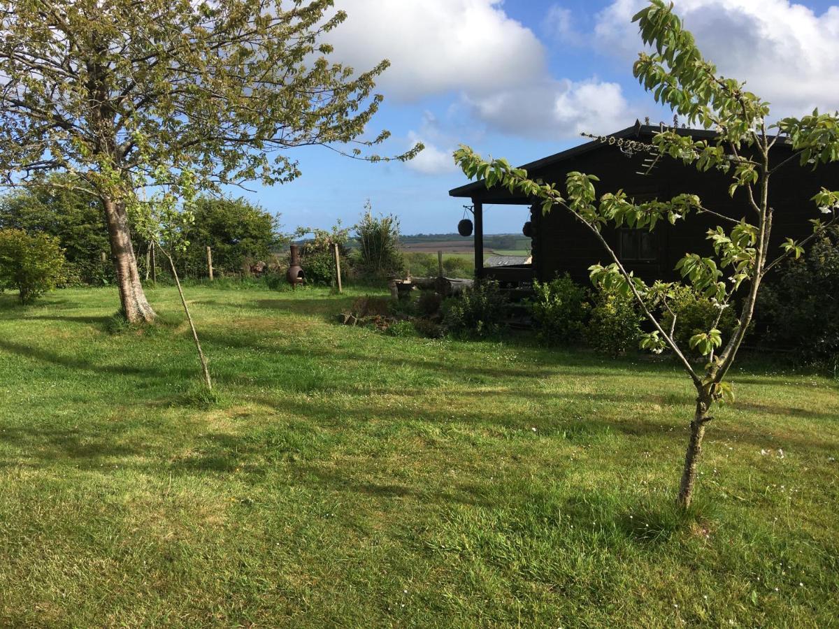 Trevenna Cabin 圣奥斯特尔 外观 照片