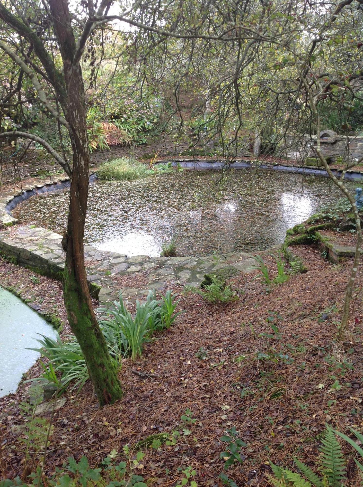 Trevenna Cabin 圣奥斯特尔 外观 照片